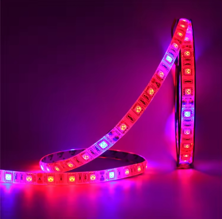 Grow Light Full Spectrum LED Waterproof Flexible Tape LED Phyto Lamps for Greenhouse Hydroponic Plant