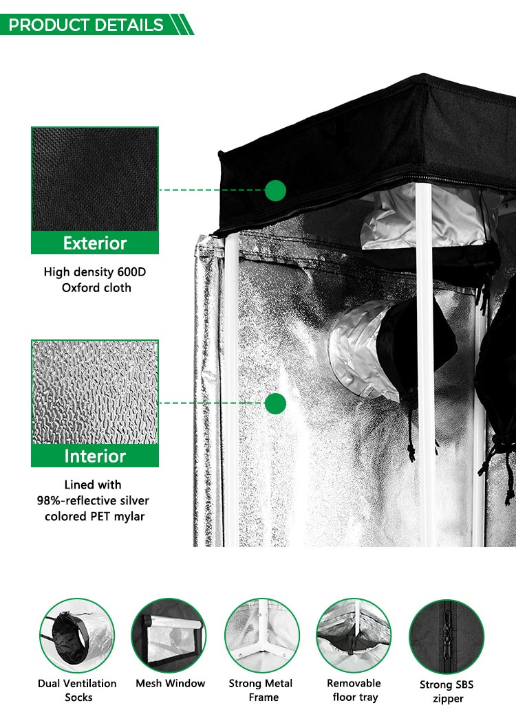 Tent Size 2