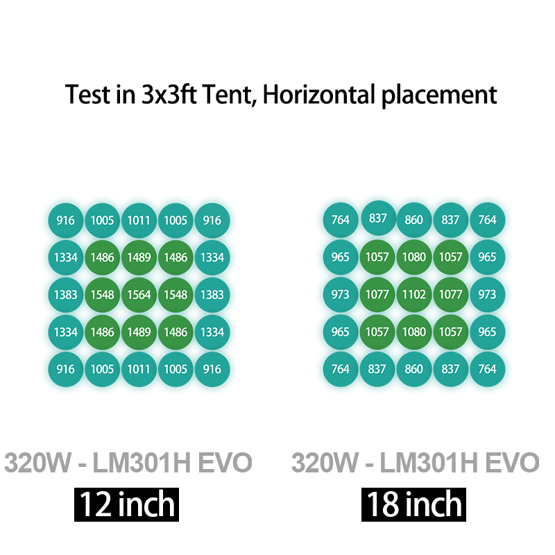 Test Report 1