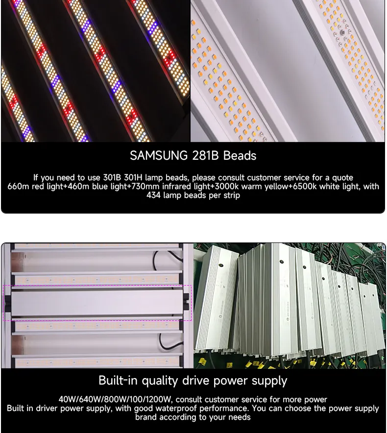 BAVA New Horticulture Indoor Plant Lamp 400W 640W 800W Dimmable 4 6 8 Bars Led Grow Light for Greenhouse Growing Tent Kit