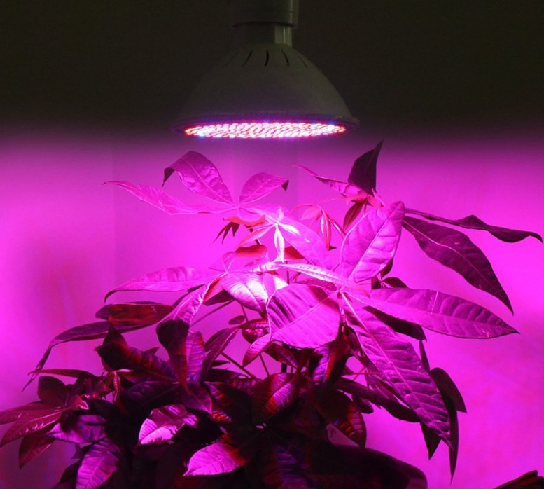 Indoor LED Grow Light with Desk Clip 360 Degree Flexible Gooseneck Growing Lamp for Hydroponics Greenhouse