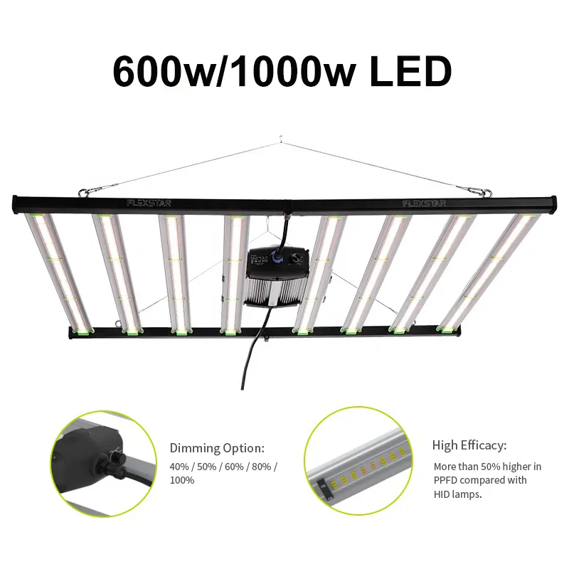 Hydroponic LED Grow Light Display
