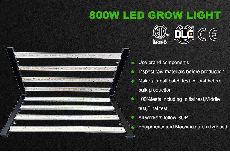 Grow Light Feature 2