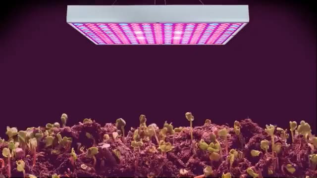 25W LED Grow Light for Indoor Plants Growing Lamp Full Spectrum Plant Lights Bulb Panel Full Spectrum Led Grow Light