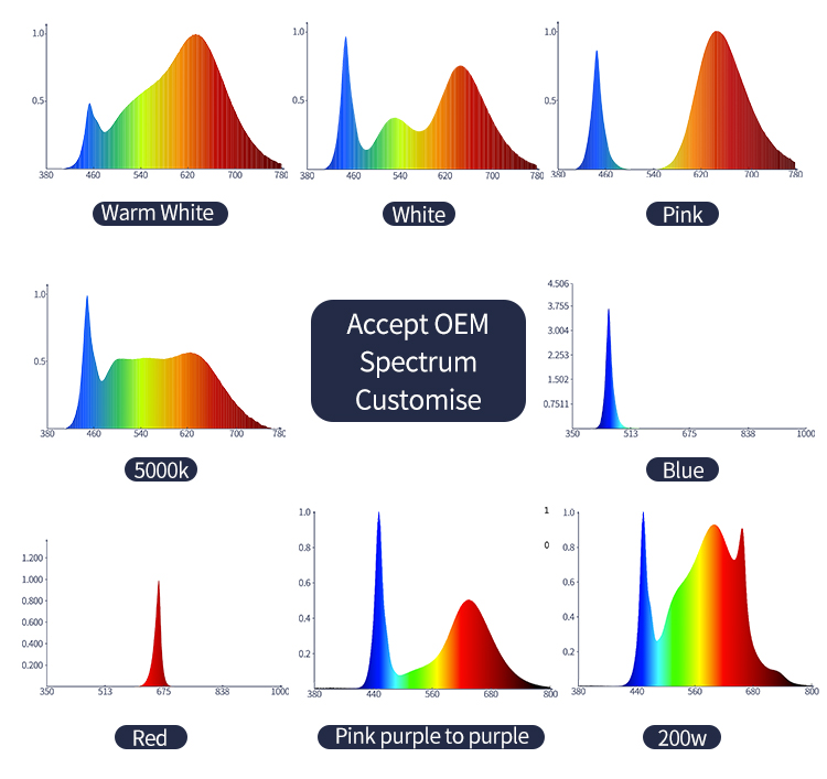 Spectrum Detail