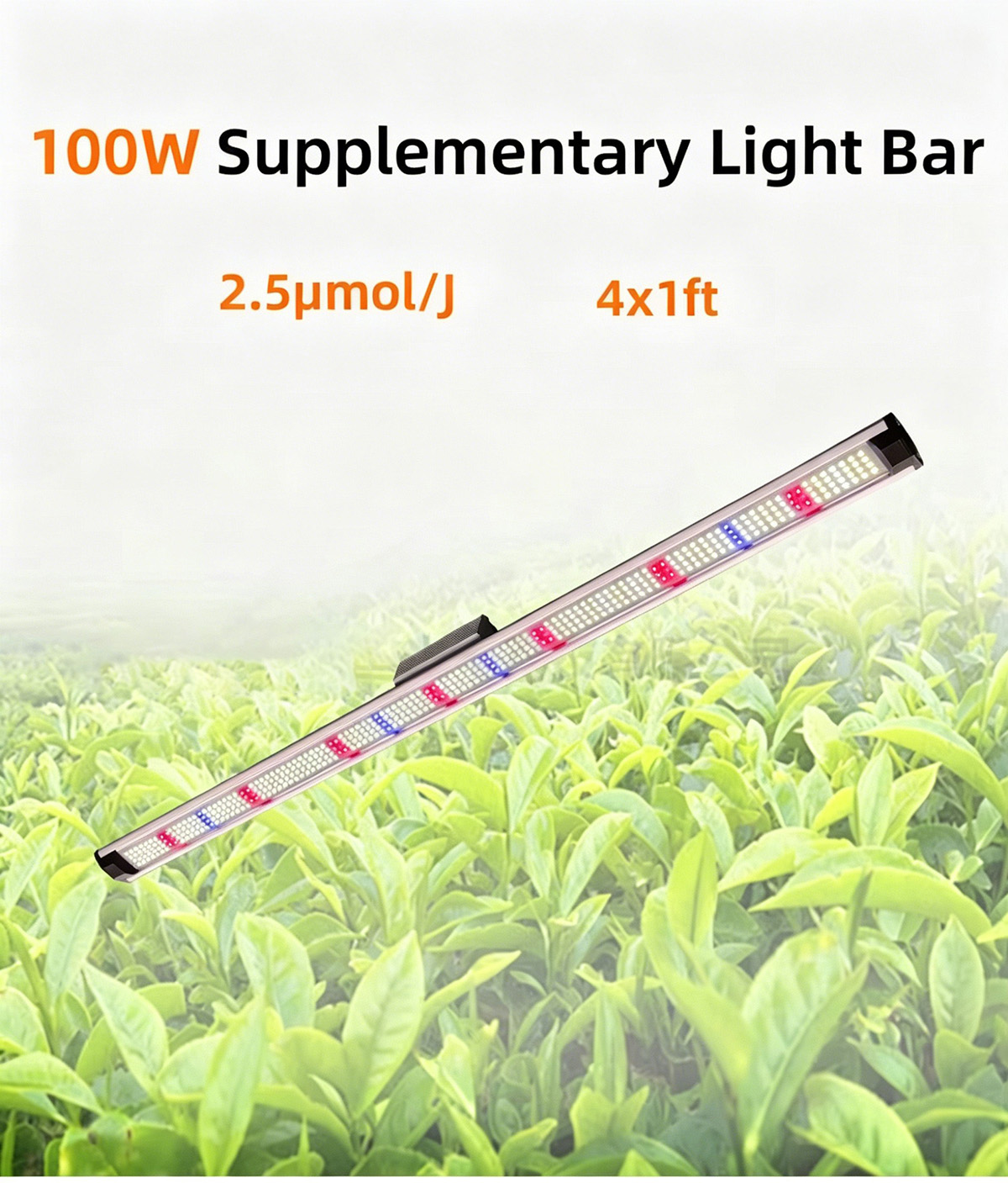 LED Supplement Light Bar