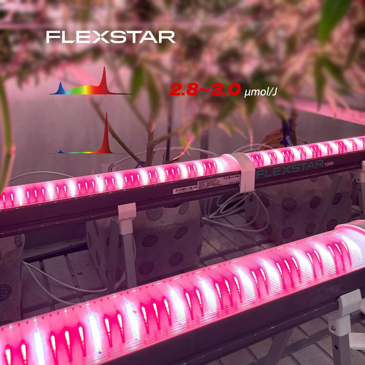 Good Review Under Canopy Inter-Row Grow Light Bar 120W R5 Full Spectrum for Indoor Plants Supplemental Light