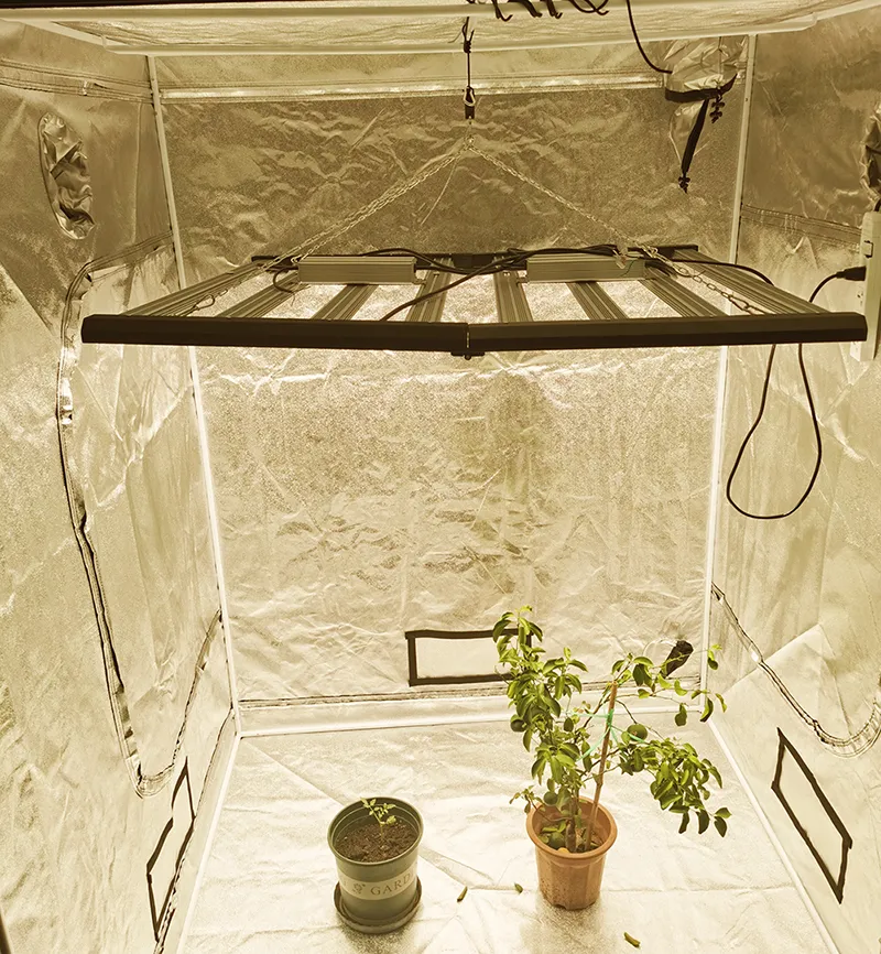 More Application photo 2