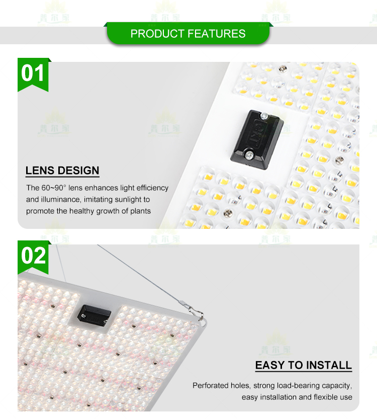 Product Detail 11