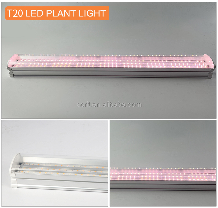 Grow Light 5
