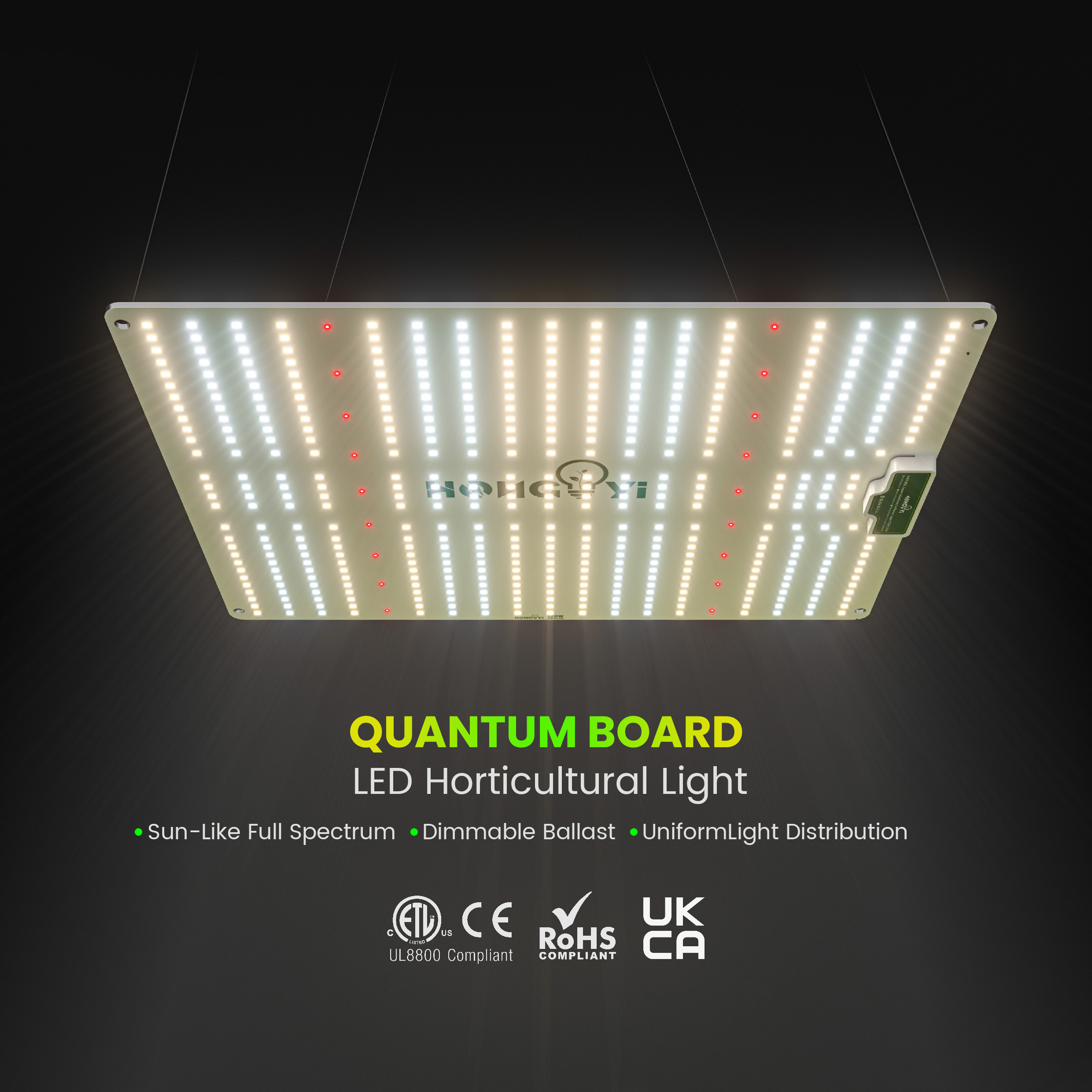 Product Showcase 2