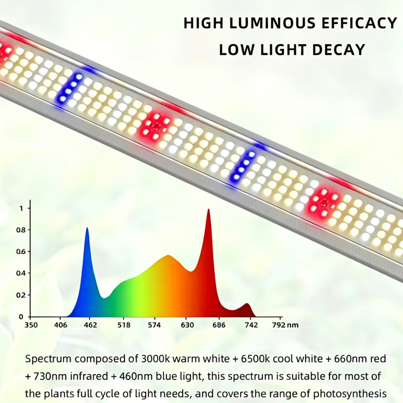 Customized 4ft LED Supplement Light Bar 50w 100w Plant Lamp with SAMSUNG Full Spectrum for Hydroponic