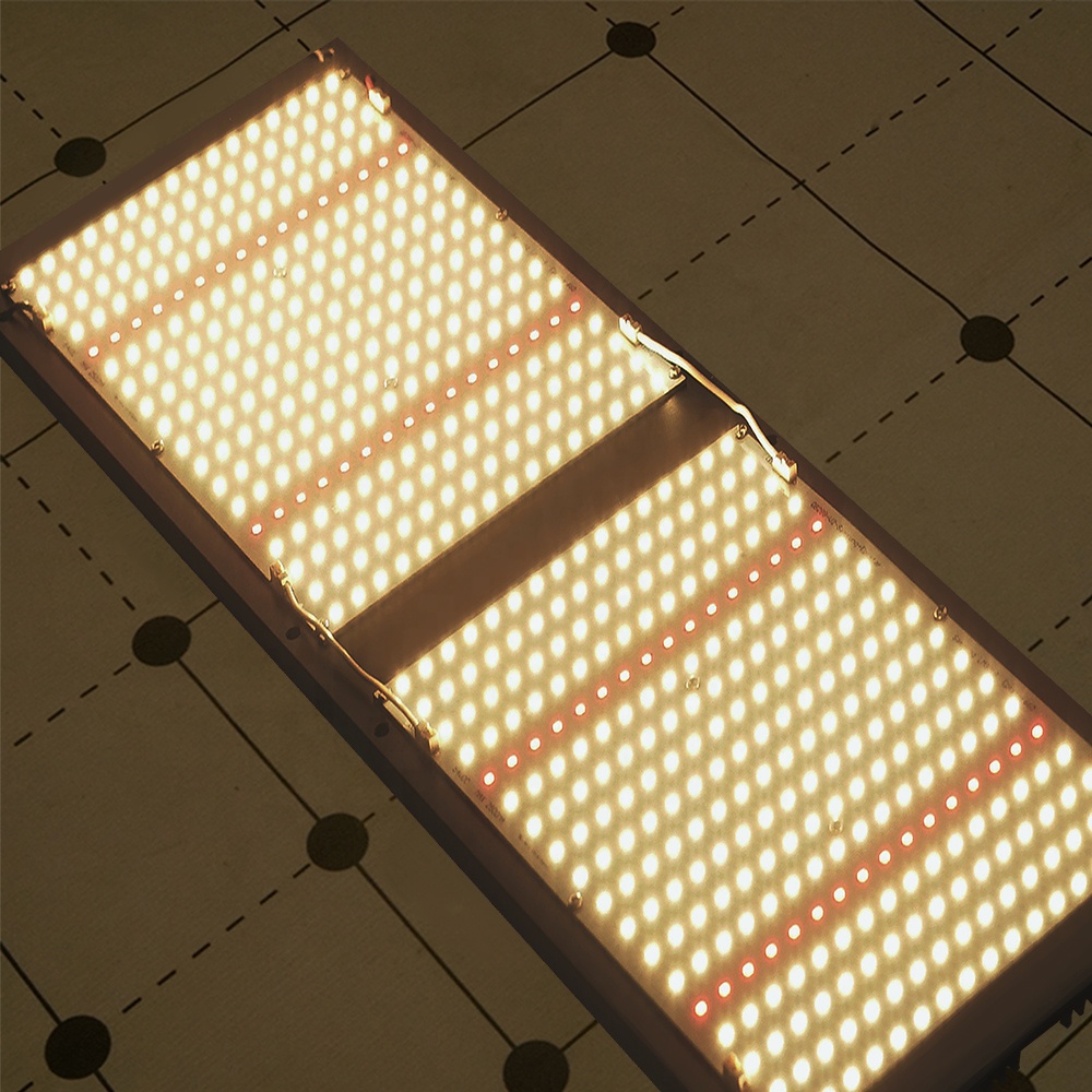 Case 2 Detail Image 2