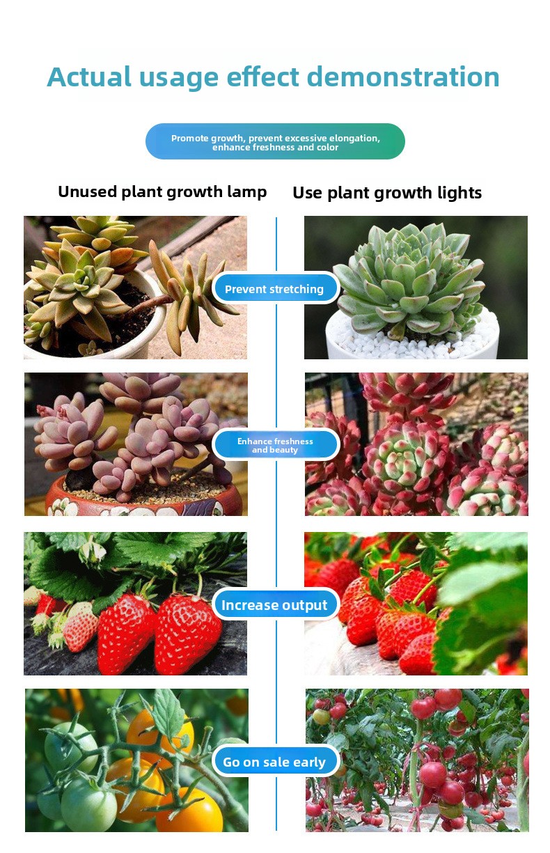 LED Plant Grow Light Clip Timer Full-Spectrum Sunlight Succulent Flower Herb Seedling Supplemental Lighting Lamp USB Interface