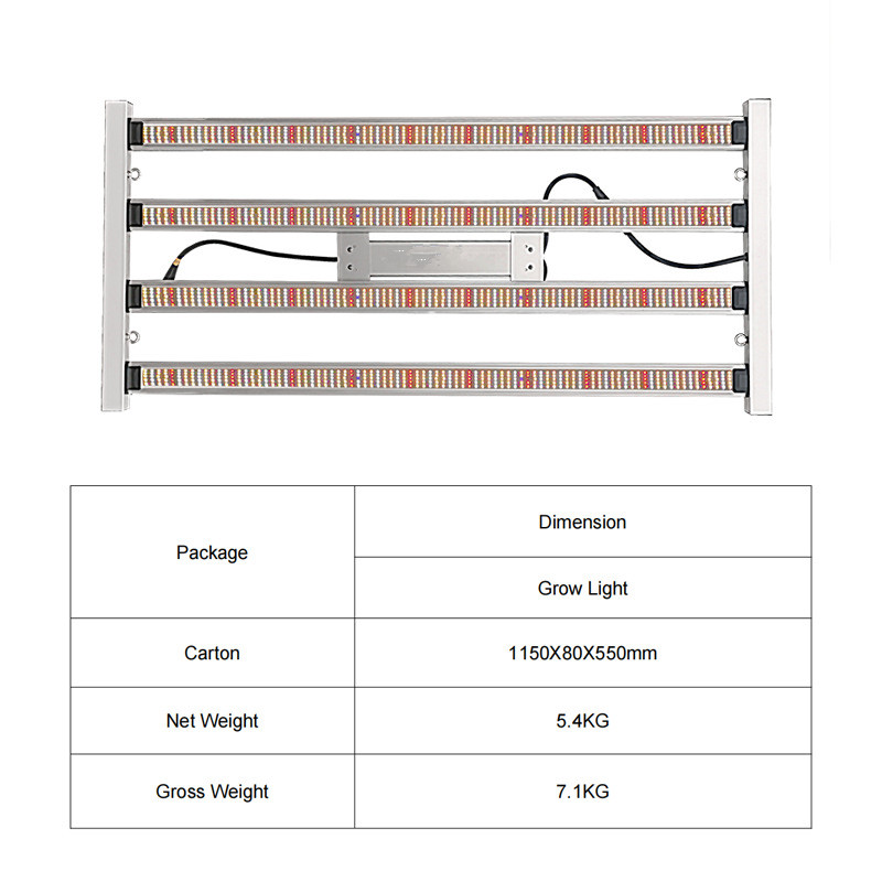 Product Layout