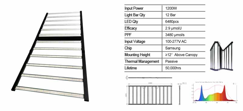 4x8ft Grow Light