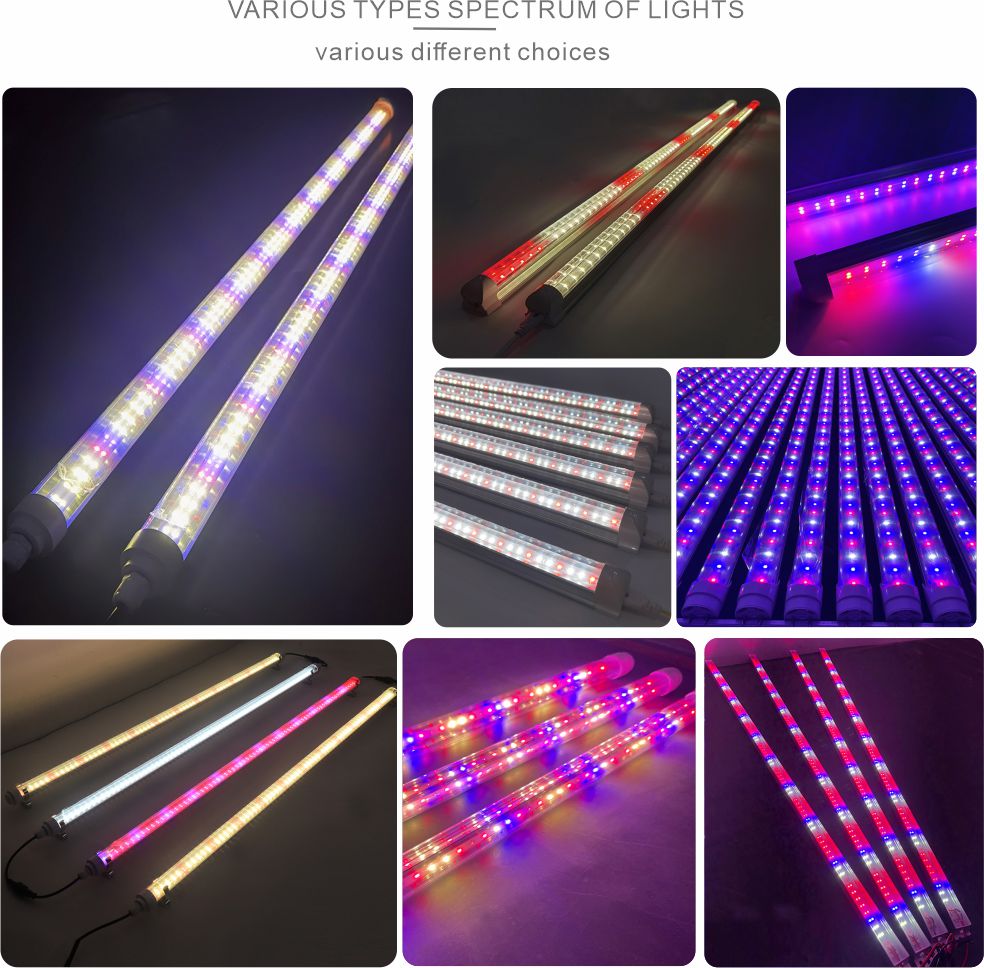 Related grow lights products