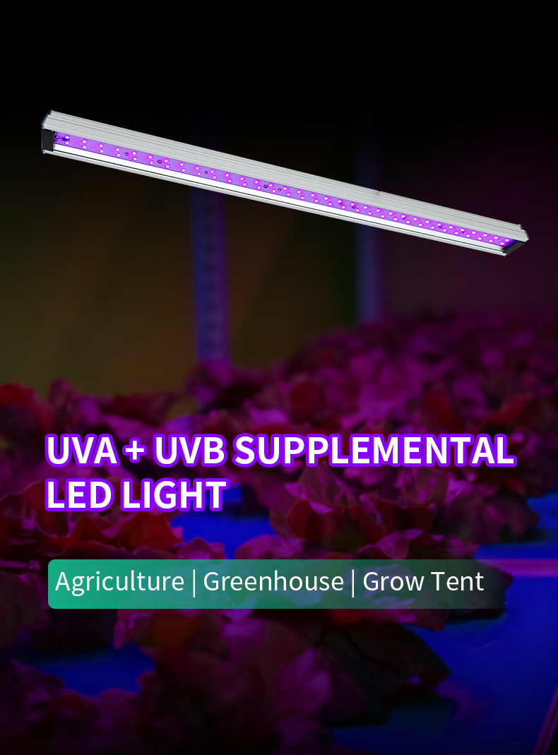 UV-30 Light Image 1