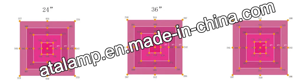 PPFD Data