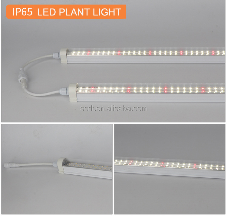 Grow Light 4