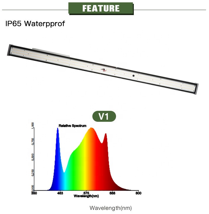 IR UV Full Spectrum 120W 240W MeanWell Driver LED Lamp LM301h LED Grow Light Board For Plants Hydroponics