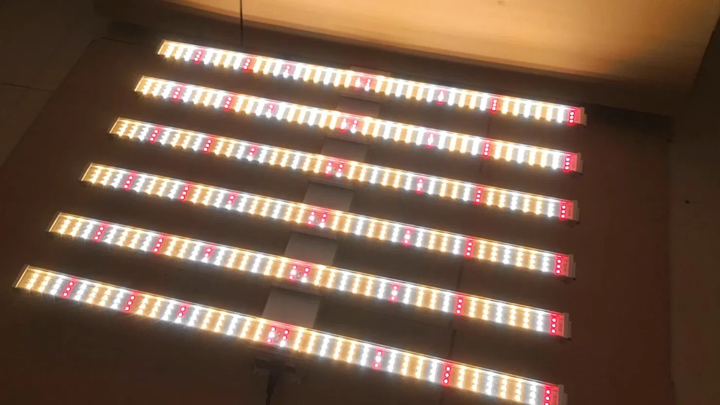 1000W Dimmable Full Spectrum Plant Hydroponic LED Grow Light