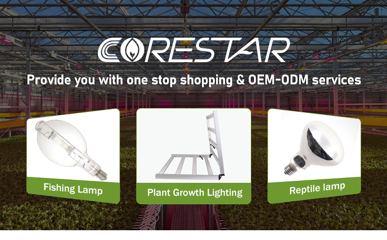 Grow Light Presentation 1