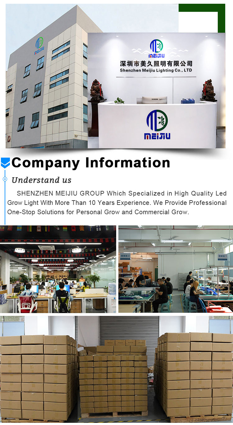 Factory and Office environment