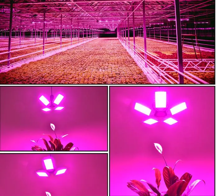 Foldable Fan Blade Full Spectrum LED Grow Light Detailed Photo 3