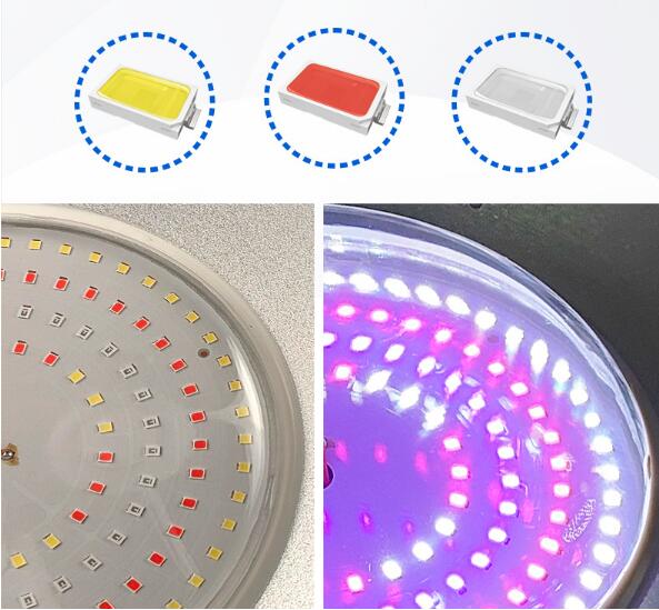 Orchid Promote Flowering Special Supplemental Light Greenhouse Balcony LED Blue Purple Light Waterproof Plant Growth Lights
