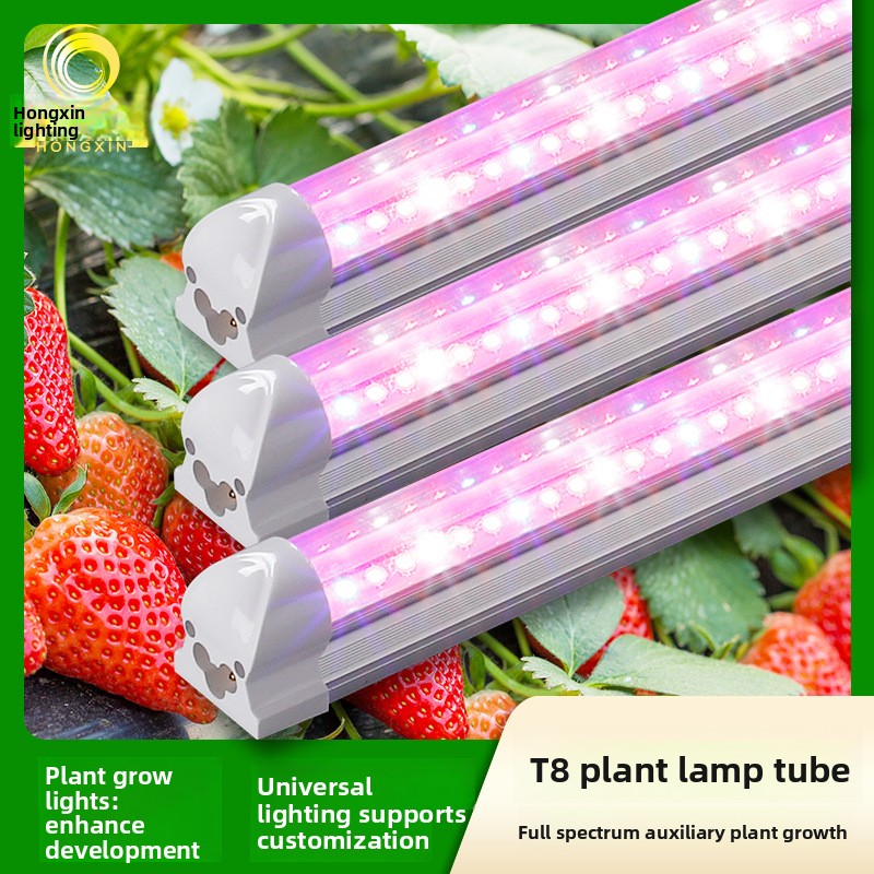LED Plant Grow Light Tube IP43 Succulents Fruits Leafy Vegetables Supplemental Lighting Coloring Full Spectrum Red Blue