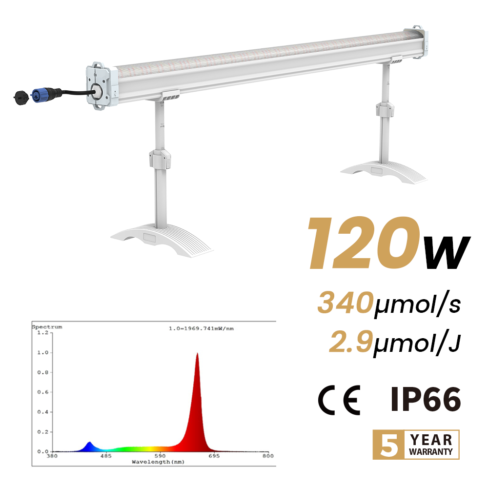 High Efficiency 120W LED Under Canopy Light Inter-canopy Supplemental Grow Lights for Vertical Farm Greenhouse Indoor Growing
