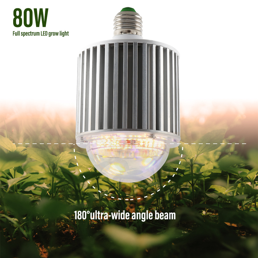 Grow Light Presentation 1