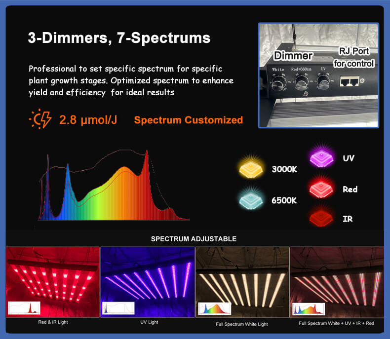 Spectrum Details