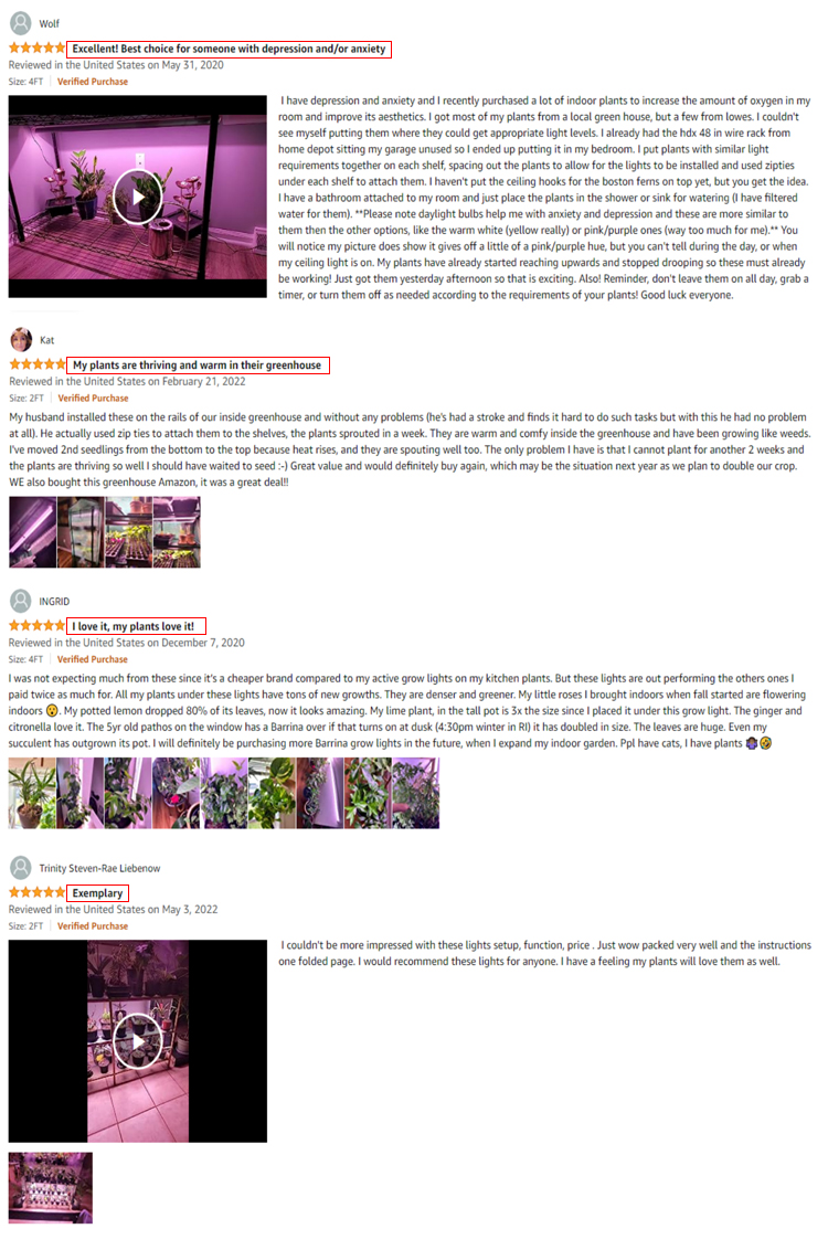 Client Feedback