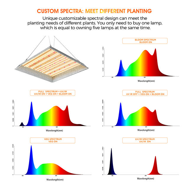Better PAR Value LED Quantum Light Board 240 W Grow Light Panels for Indoor Plants
