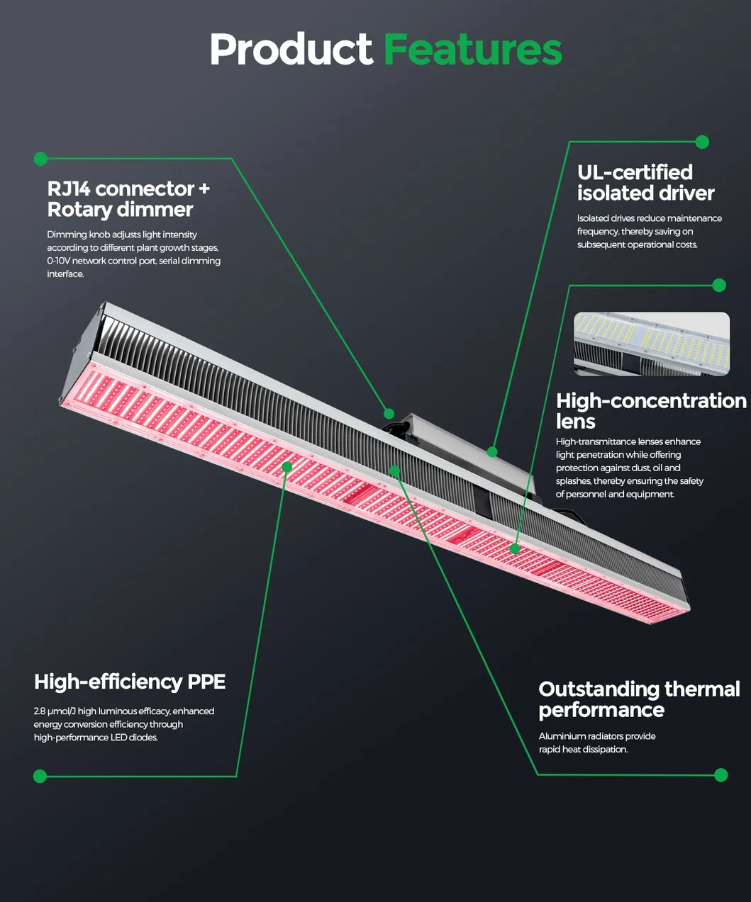 600W Grow Light 2