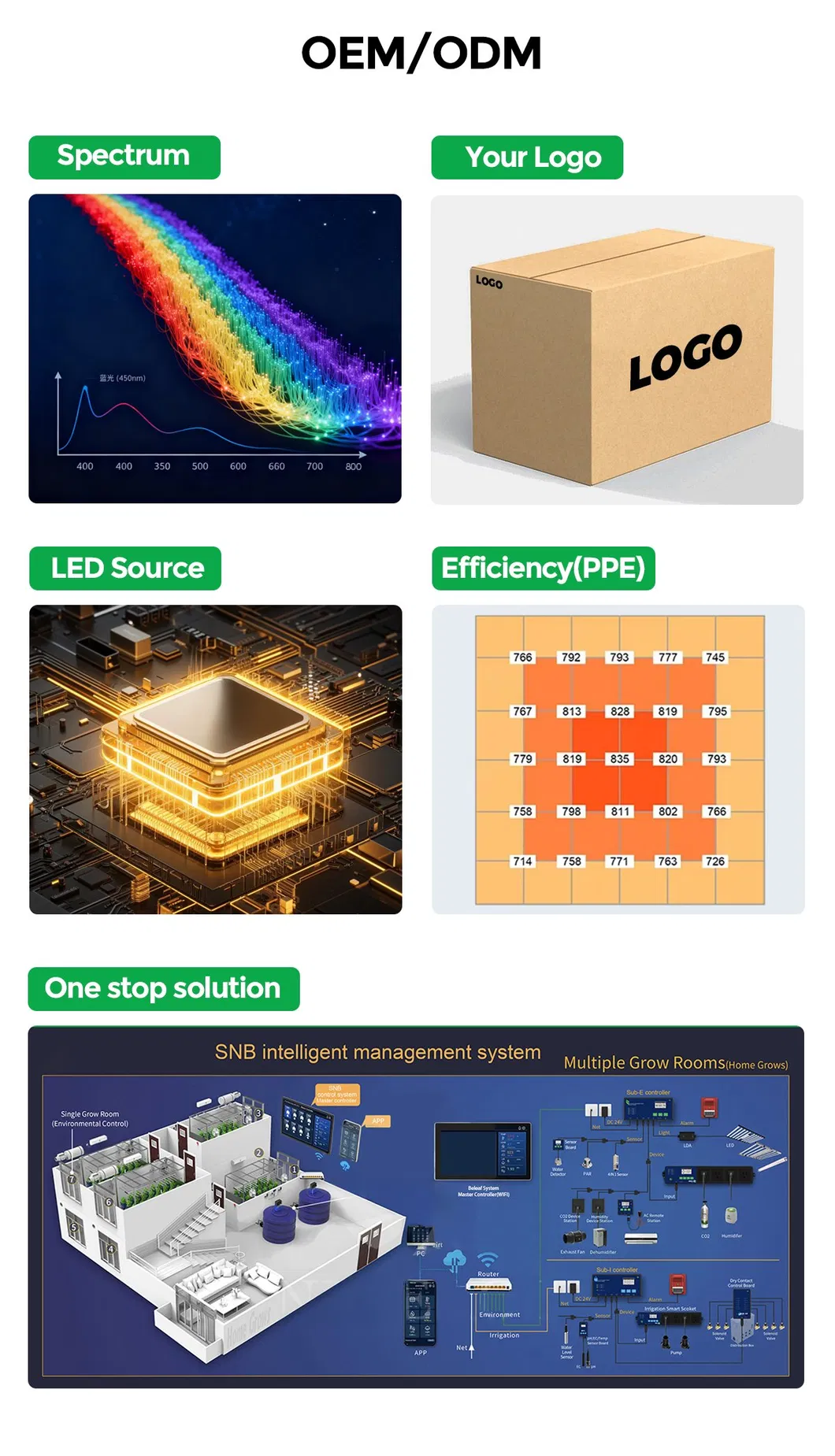 Application Case