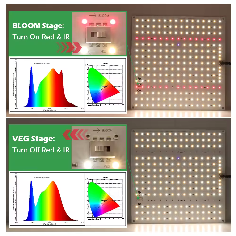 Light Spectrum View