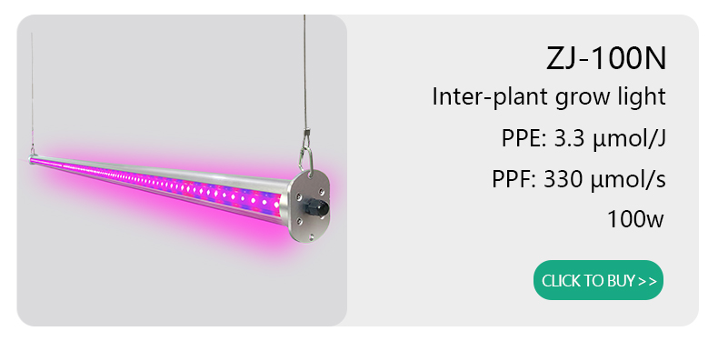 UV-30 Light Distribution