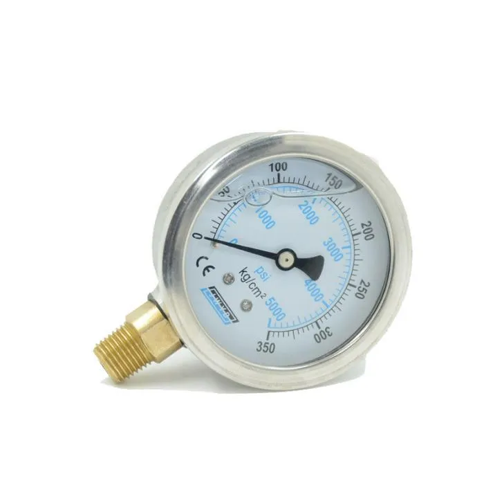 Pressure Gauge Detail 9