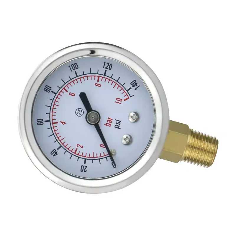 Pressure Gauge Detail 1