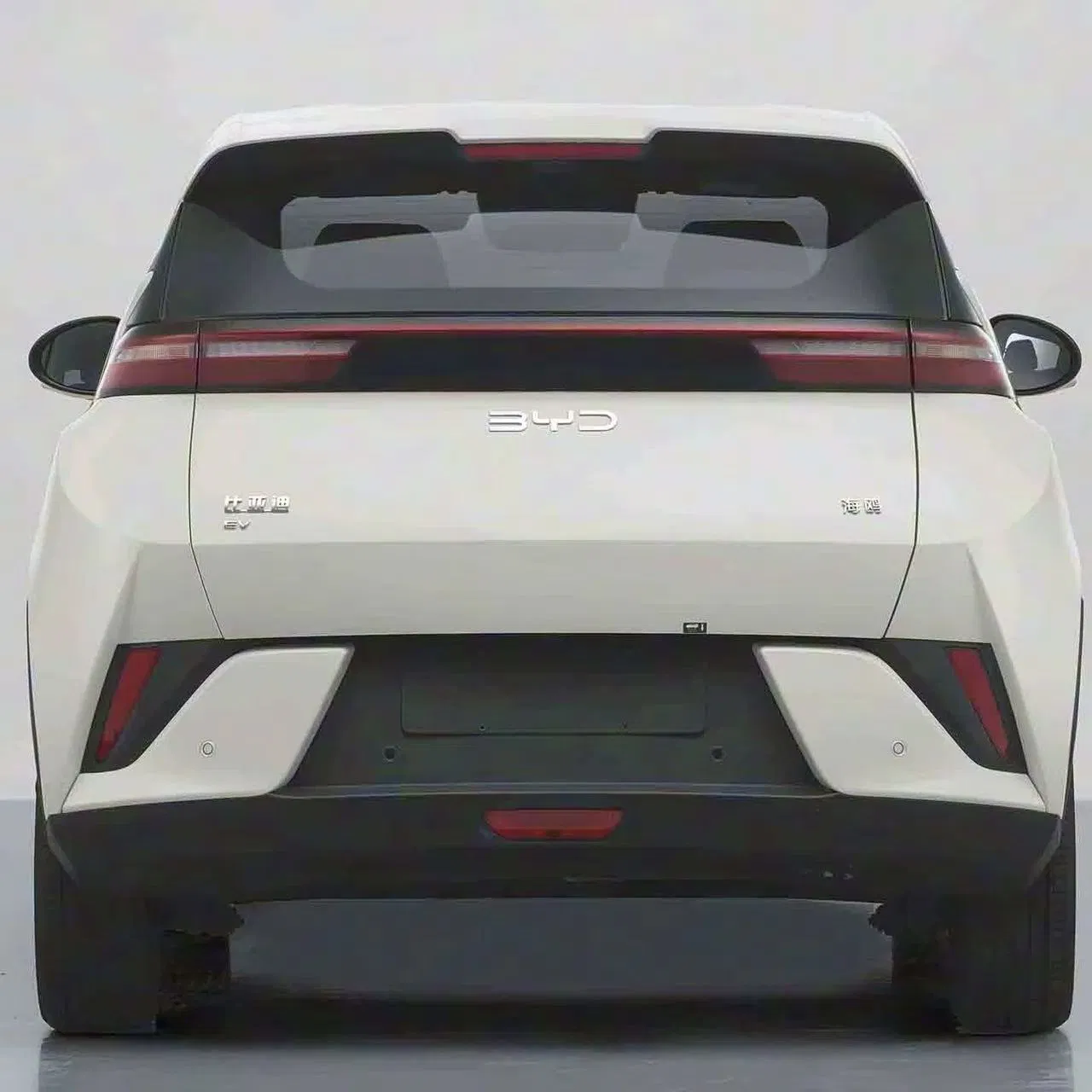 Electric. Byd Dolphin Surf: Foldable Rear Seats Wireless Charging Practical EV