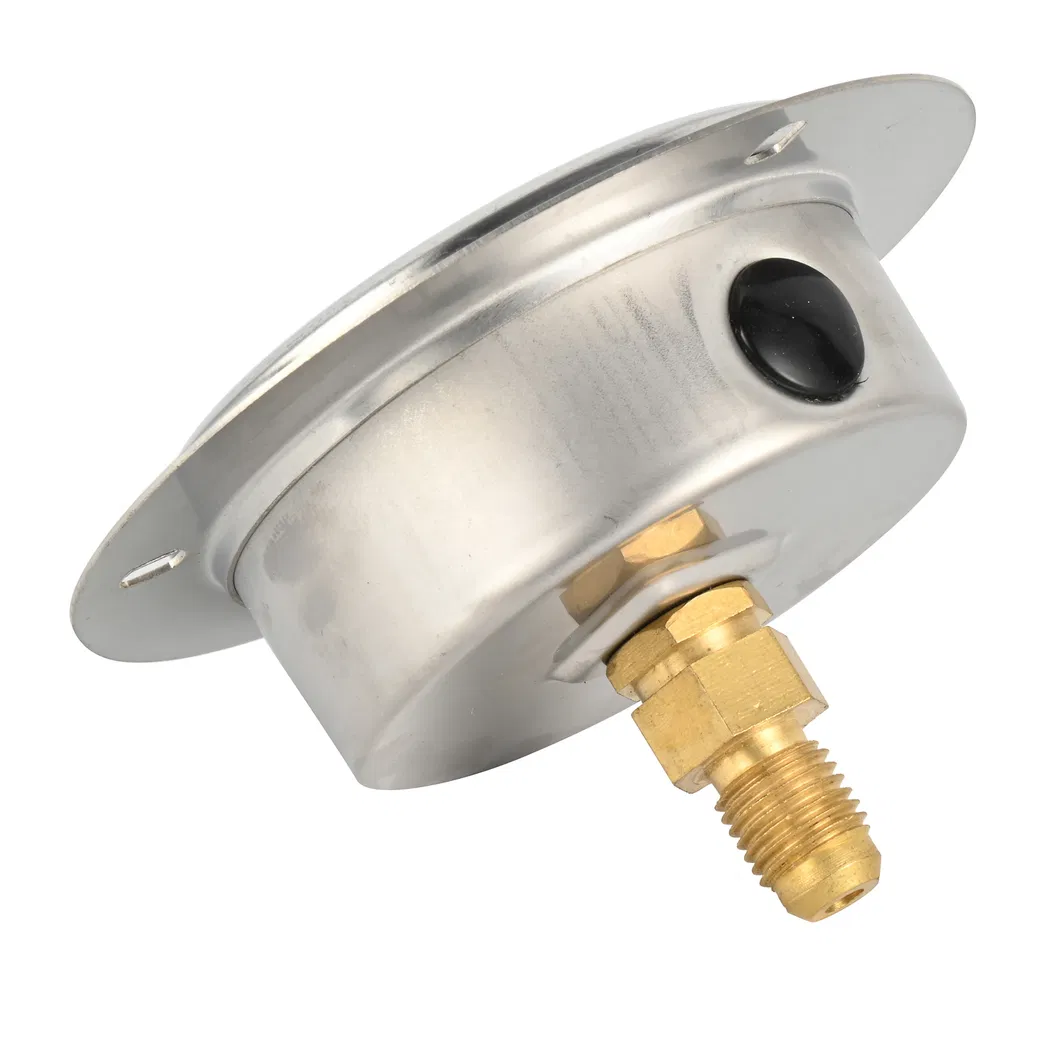 Pressure Gauge Application 2