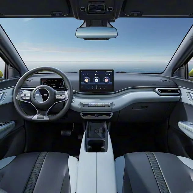 BYD Dolphin Surf Detail 1