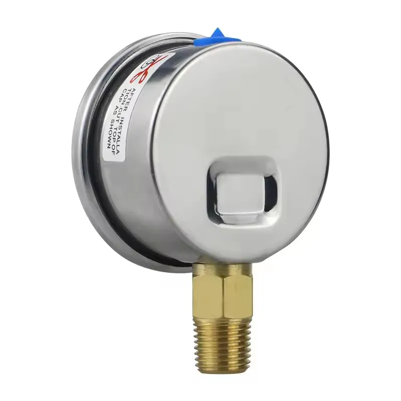 Pressure Gauge View 5
