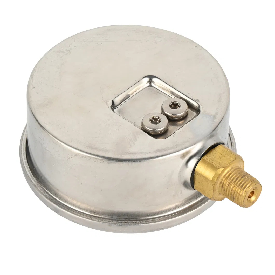 Pressure Gauge View 1