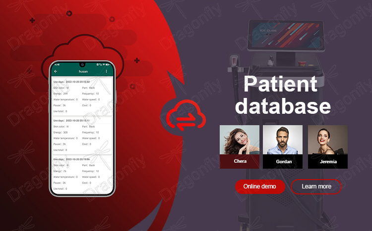 Database System