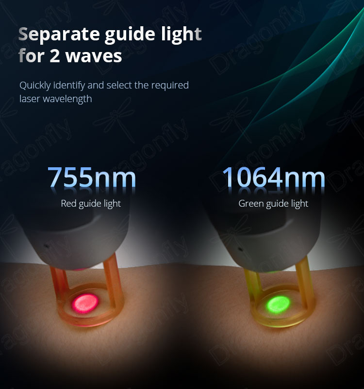 Dual Guide Light