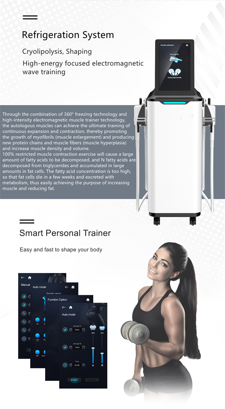 Fat Reduction Machine View 3